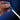 Icecap Coral Feeder