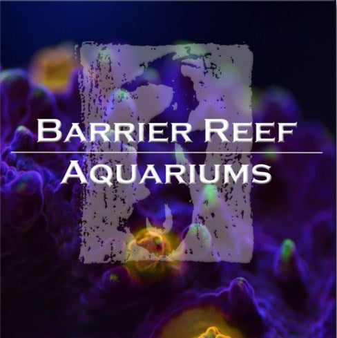 Barrier Reef Aquariums