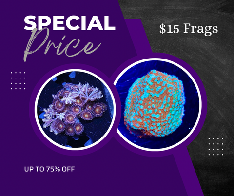 Special $15 Frags