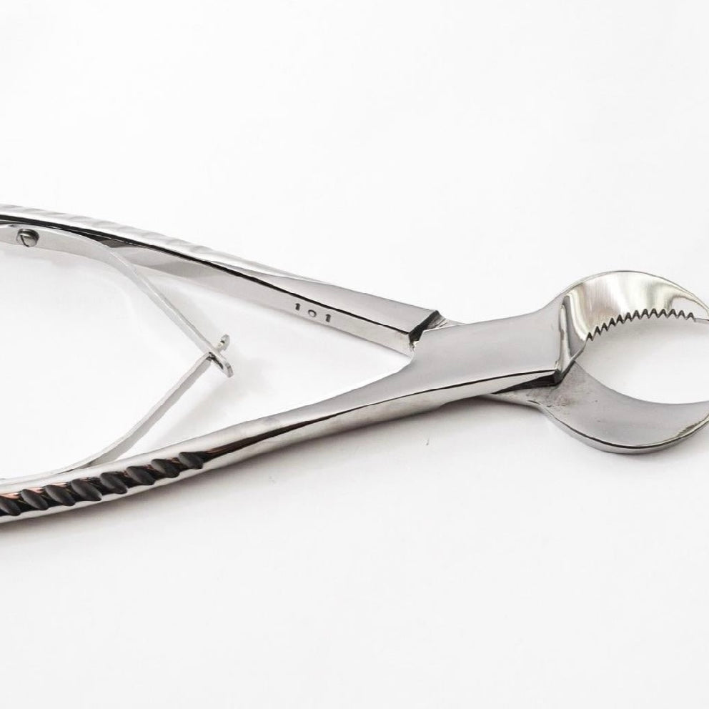 Fragging Tools – Barrier Reef Aquariums