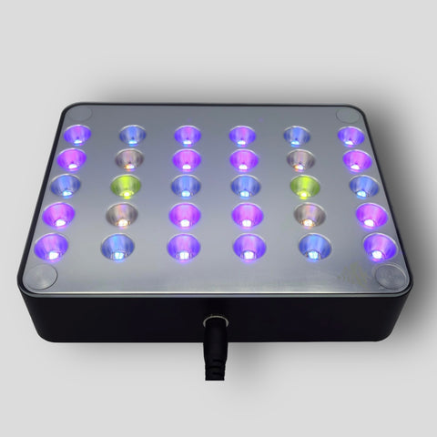 ReeFi LED Lights & Accessories