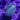 WYSIWYG - Purple Polyp Toadstool