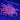 WYSIWYG - Lg. Pink Goniopora