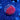 WYSIWYG - ECC Pink Lemon Drop Goniopora