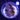 WYSIWYG - ORA Gigas Clam
