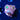 WYSIWYG - JF Fireworks Clove Polyps