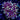 Purple/Pink Torch