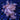 WYSIWYG - Jasmine Polyp Rock