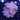 WYSIWYG - Pink Blush Cabbage Leather