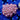 TK Master Blaster Zoanthid