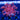WYSIWYG - Bright Red Goniopora