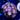 WYSIWYG - Seduction Zoa