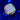 WYSIWYG - JF Buzzkill Cyphastrea
