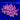 WYSIWYG - Pink Goniopora