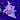 WYSIWYG - Blue Branch Cyphastrea