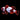 WYSIWYG - Captive Bred Lightning Maroon Clownfish