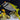 Scribbled Rabbitfish