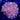 WYSIWYG - Lg. Orange Frogspawn