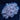 Pom Pom Pulsing Xenia - Value Size