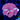 WYSIWYG - Scarface Discosoma