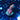 WYSIWYG - BRA Prickly Pear Prostrata #2
