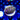 WYSIWYG - Blueberry Fields Zoa