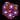 ECC Snitch Zoanthid Frag