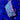 WYSIWYG - Joker Cyphastrea