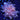 WYSIWYG - Peach Frogspawn