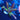 WYSIWYG - Rainbow Acropora