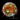 ECC Gatorade Zoanthid