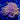 WYSIWYG - 24K Torch Multi Fused Heads
