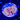 WYSIWYG - Crazy Eye Orange Discosoma