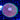 WYSIWYG - Bicolor Plate Coral