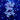 WYSIWYG - Blue Birdsnest