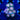 WYSIWYG - Laser Lemon Zoa