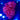 WYSIWYG - Lg. Acid Rain Halymenia (Attached to Rock)