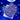 WYSIWYG - Green Star Polyp | Value Sized