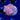 WYSIWYG - Bubblegum Pink Yuma