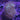 WYSIWYG - Long Polyp Toadstool