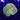 WYSIWYG - Neon Green Stripe Trachy