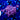 WYSIWYG - ACI Dragon's Breath Goniopora