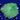 WYSIWYG - XL Ultra Green Rhodactis