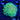 WYSIWYG - Green Alveopora