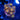 WYSIWYG - GBP "Type" Zoanthid