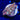 WYSIWYG - Combo Zoa (Blow Pops "Type" / Starlet)