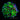 ECC Emerald Galaxea