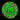 ECC Master PPE Cyphastrea