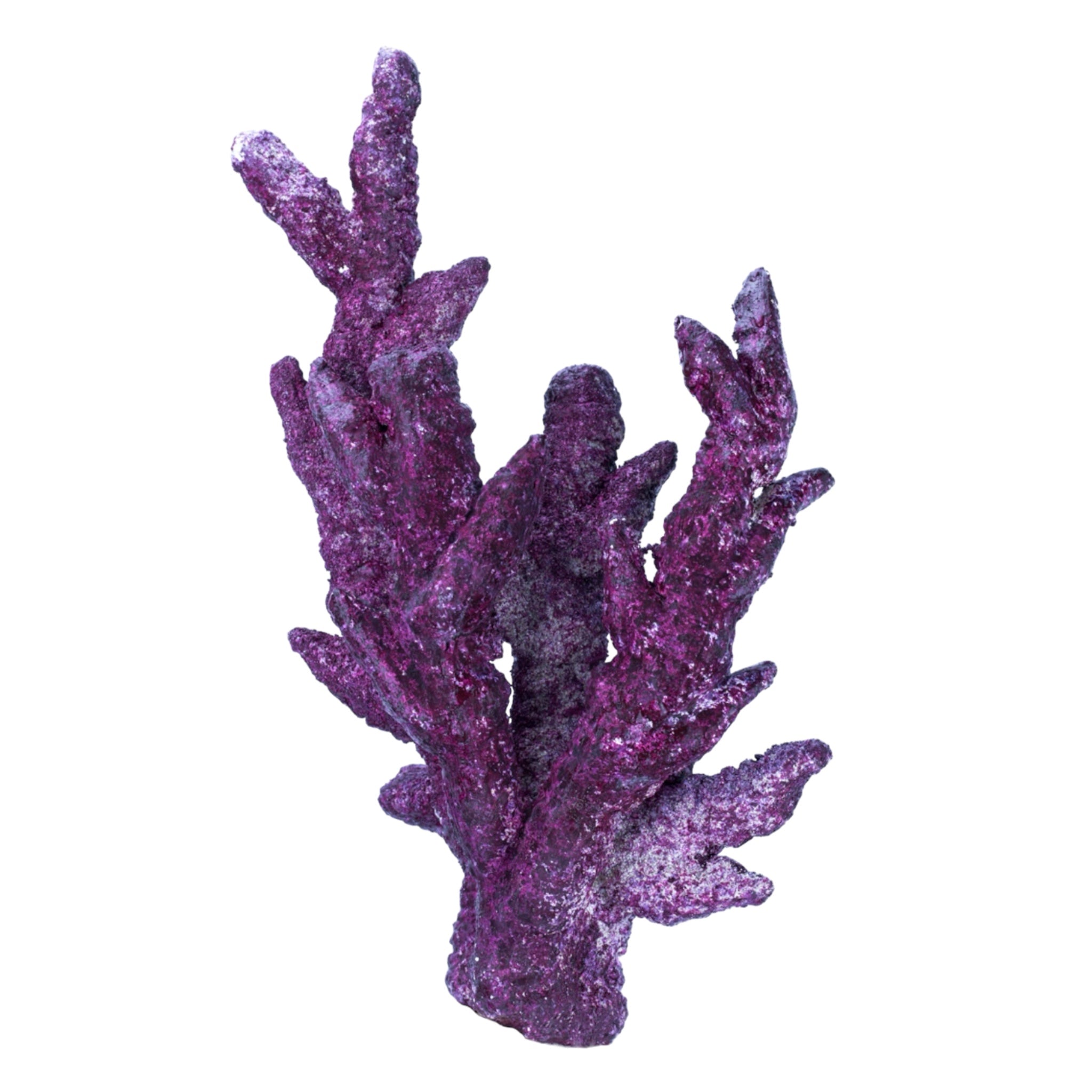 Barrier Reefs Rocks Real Reef Fancy Branch Rock 33lb – Barrier Reef Aquariums