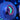 WYSIWYG - ECC Bicolor Candy Cane